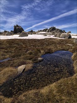 Alpine Marshland - Rams Head Range - NSW T V (PBH4 00 10818)